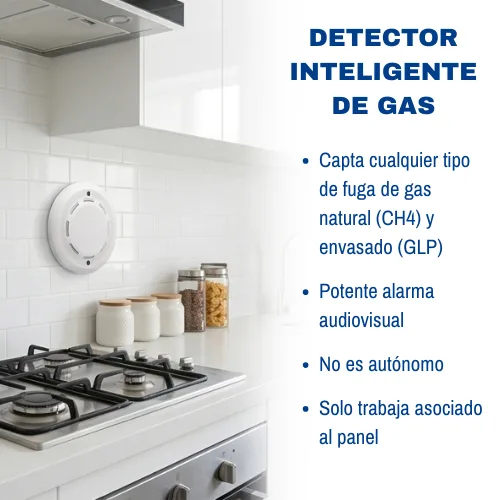 Detector de gas