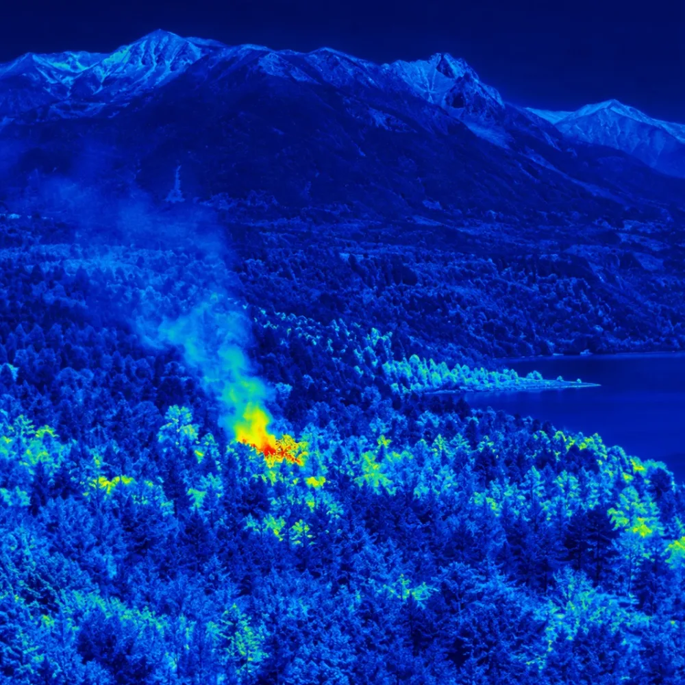 Detección de incendio por video para la prevención de incendios forestales - Disponible en MAFP Tecnología